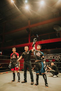 深入探讨:刺击战场背景音乐现象,诠释战争主题曲的魅力与影响 深入探讨:刺击战场背景音乐现象,诠释战争主题曲的魅力与影响