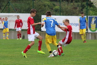 (格斗之王官网)全新正版格斗之王即将诞生:打破传统、引领时尚! (格斗之王官网)全新正版格斗之王即将诞生:打破传统、引领时尚!