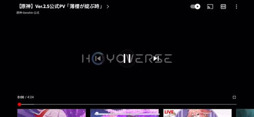hoyoverse原神优化版下载-hoyoverse原神修改器下载v.7.38 hoyoverse原神优化版下载-hoyoverse原神修改器下载v.7.38