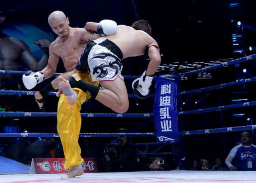 202开播的武林风2024免费播放大事件--夺冠传奇再度呈现