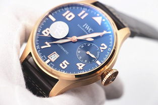 万国之王：朝现花璧，娇艳动人，独领风骚，引无数眼球驻足仰望