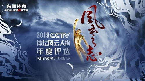 百世文华录七星剑怎么样？专业人士真实评价揭晓！