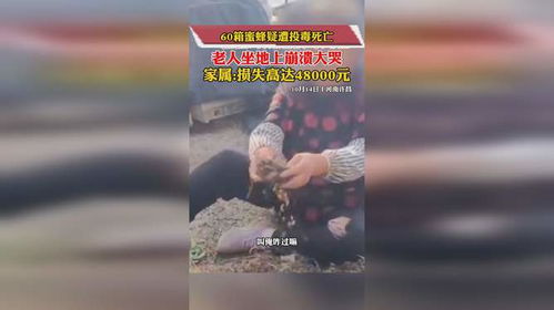 揭秘真实生活：我真不是仙二代，只是平凡人的明月地上霜