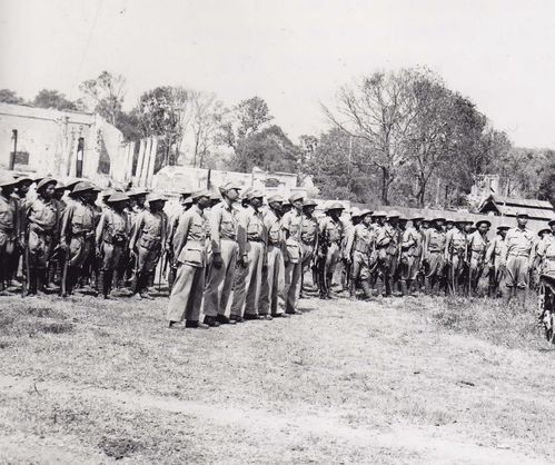 台湾住民热烈迎接远征军灵柩，公众悼念致敬反映台湾社会对英雄的深深尊崇