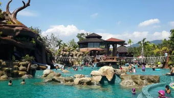 探寻自然之美：原始森林主题酒店体验