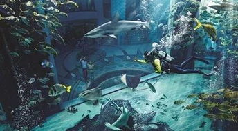 探秘深海秘境，海底大猎杀steam带你体验刺激冒险！