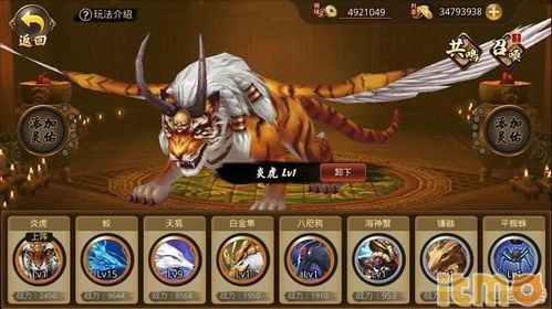 战国布武停服了吗?玩家们在关服风波中寻求官方答复