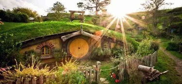 虫虫去旅行:探寻自然之美,畅游未知世界 虫虫去旅行:探寻自然之美,畅游未知世界