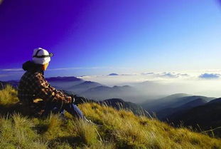 虫虫去旅行:探寻自然之美,畅游未知世界 虫虫去旅行:探寻自然之美,畅游未知世界