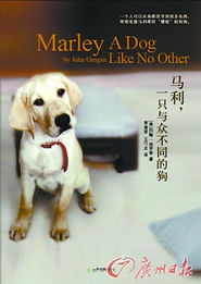 我的宠物不一般：与众不同的养成之路，让我爱意更浓厚