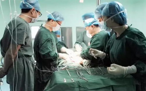 白鹿重伤住院,专家团队全力抢救,希望重见天日。 白鹿重伤住院,专家团队全力抢救,希望重见天日。