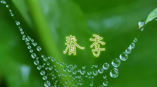 超高清1920x1080分辨率电脑壁纸,提升你的桌面视觉享受 超高清1920x1080分辨率电脑壁纸,提升你的桌面视觉享受