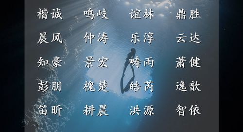 仗剑天涯作者简介：探寻历史辽东之路，记录中外国士风采，笔耕不辍文化传承