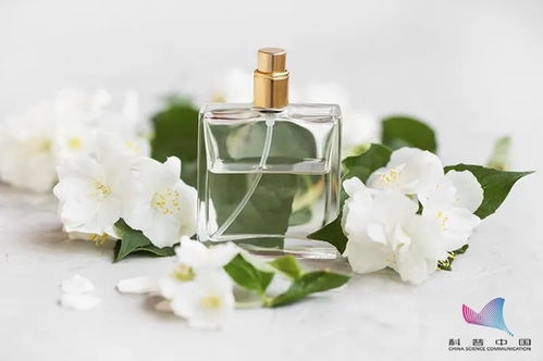 航海物语香水味道怎么样？ 一起探讨这款香水的香气如何吸引人