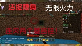 混乱中的坍塌世界：我与你的终极游戏冒险