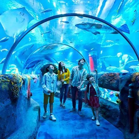 梦幻购物天堂5:口碑摆法,精致品质引领时尚潮流 梦幻购物天堂5:口碑摆法,精致品质引领时尚潮流