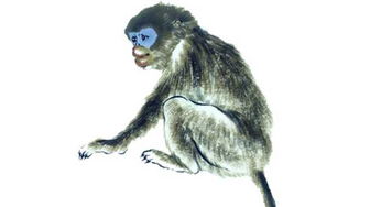 蛇、猪、鼠、猴:77778888新疆或2026年天天免费资料百度启发释义、专家解析解释与落实​-远离虚假承诺沼