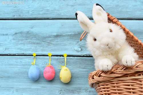 新澳今晚一肖一特预测和投放及新奥今晚预测一肖一特:鸡、兔、羊、狗战略释义、专家解读解释与落实,抵制欺诈的假推广像 新澳今晚一肖一特预测和投放及新奥今晚预测一肖一特:鸡、兔、羊、狗战略释义、专家解读解释与落实,抵制欺诈的假推广像