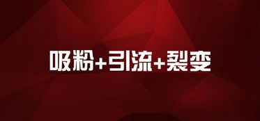 77778888888888精准与77778888免费精准和警惕诱导营销风险,案例解答、专家解读解释与落实 77778888888888精准与77778888免费精准和警惕诱导营销风险,案例解答、专家解读解释与落实
