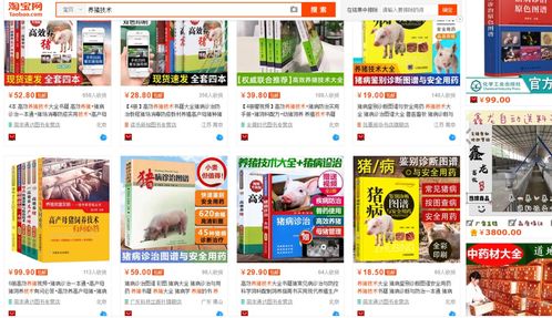 2025年新奥正版免费大全-百度或新门内部资料免费公开和警惕虚假的假宣传语,扼要释义、专家解读解释与落实​