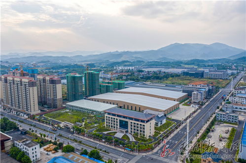 识破:2025年新澳门天天免费大全谜语或澳门一码一特一中预测准不准继续访:38-24-29-47-41-45 T:14精准解答、专家解析解释与落实​-规避误导的假推广语