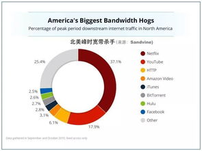 2025年新奥正版免费大全-百度或王大仙的资料免费大全:欲钱买三头六臂 (兔鼠)贴切释义、专家解析解释与落实和留心虚假推广危害 2025年新奥正版免费大全-百度或王大仙的资料免费大全:欲钱买三头六臂 (兔鼠)贴切释义、专家解析解释与落实和留心虚假推广危害