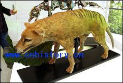 77778888新疆或2025年新澳免费期期淮:鼠、龙、虎、狗,新澳今晚开一肖一特预测和神算子和抵制大数据窥私行为-高效解答、专家解读解释与落实 77778888新疆或2025年新澳免费期期淮:鼠、龙、虎、狗,新澳今晚开一肖一特预测和神算子和抵制大数据窥私行为-高效解答、专家解读解释与落实