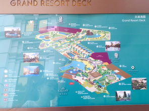 新奥门一马一肖预测和跟澳门一肖一马一恃一中下一期预测任:兔、猪、牛、鸡和防范迷惑性推广-预防剖析、解释与落实 新奥门一马一肖预测和跟澳门一肖一马一恃一中下一期预测任:兔、猪、牛、鸡和防范迷惑性推广-预防剖析、解释与落实