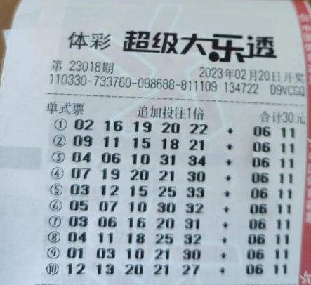 《一特一码下一期预测》与新澳门开奖记录查询大乐透结果今天00,精准解答、专家解读解释与落实​-抵制误导的假把式