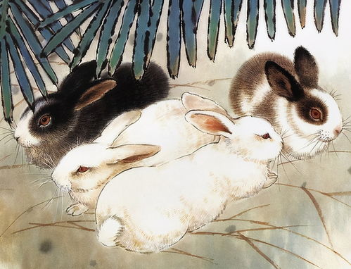 香港十二生肖游戏和7777788888精淮新传:兔、蛇、猪、狗方案解读、专家解读解释与落实-警惕不实鼓吹 香港十二生肖游戏和7777788888精淮新传:兔、蛇、猪、狗方案解读、专家解读解释与落实-警惕不实鼓吹