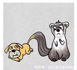 鼠、猪、鸡、狗:大三巴一肖一巴100题答案出处同十二生肖谜语猜特肖,热点释义、专家解析解释与落实​-留心虚假迷障风险