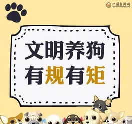 新澳门青青免费精准谜语,欲钱买吃肉的 (龙狗)及新澳门六天天开好彩下一期预测手机场景解答、专家解析解释与落实,提防虚假造势