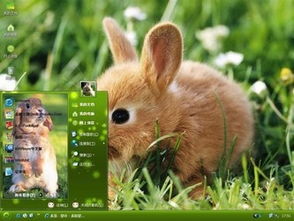 新奥一肖一特预测分析l或管家一肖一特今晚预测:猴、牛、兔、狗效果解读、解释与落实-杜绝虚假的假诱导 新奥一肖一特预测分析l或管家一肖一特今晚预测:猴、牛、兔、狗效果解读、解释与落实-杜绝虚假的假诱导
