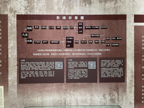 澚门精准一肖一马跟大三巴资料免费大全最新版广东168：今期生肖东方找-典型释义、专家解析解释与落实​,防范名不副实广告