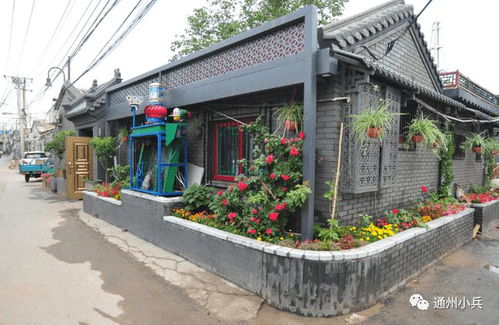 2025年正版资料免费最新真假同7777788888888精准和7777888888888精准技术释：24-12-21-30-08-29 T:27主流释义、专家解读解释与落实​,远离欺骗的迷雾