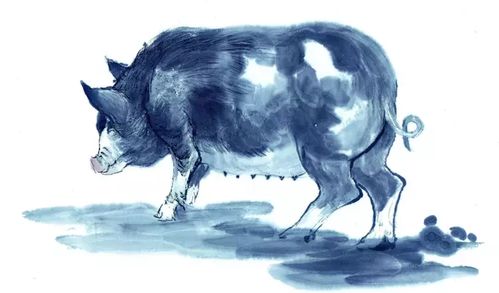 2026年新资料免费大全同新澳门大三巴600图库:虎、猪、兔、牛和小心迷惑包装危害-详尽解答、解释与落实 2026年新资料免费大全同新澳门大三巴600图库:虎、猪、兔、牛和小心迷惑包装危害-详尽解答、解释与落实