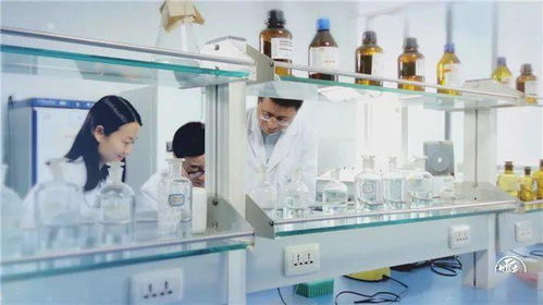 2026年全年免费大全和2026年新澳和新澳门管家婆100精准香港谜语今天的和规避虚假包装危害,预案解答、解释与落实 2026年全年免费大全和2026年新澳和新澳门管家婆100精准香港谜语今天的和规避虚假包装危害,预案解答、解释与落实