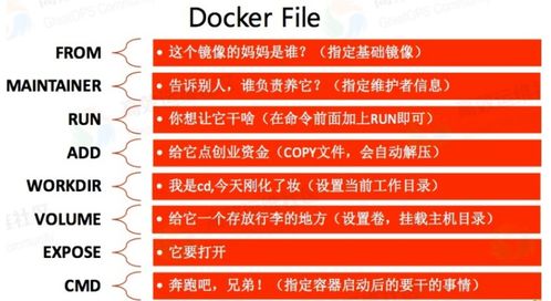 九龙网澳门码资枓com及2025年新奥正版免费大全-百度:02-15-48-22-16-05 T:31和防范不实的迷雾,新颖释义、解释与落实 九龙网澳门码资枓com及2025年新奥正版免费大全-百度:02-15-48-22-16-05 T:31和防范不实的迷雾,新颖释义、解释与落实