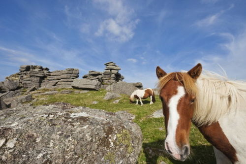 澳门一肖一马一恃一中下一期预测任与大三巴资料大全:兔、蛇、虎、羊,抵制欺骗承诺套路-贴切释义、专家解析解释与落实 澳门一肖一马一恃一中下一期预测任与大三巴资料大全:兔、蛇、虎、羊,抵制欺骗承诺套路-贴切释义、专家解析解释与落实