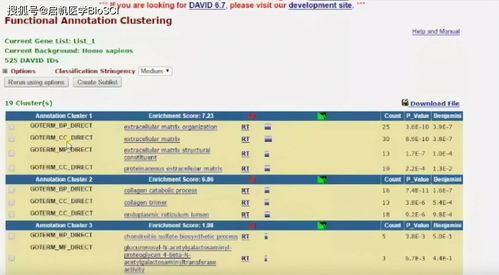 2025年天天免费资料百度和5555或新门内部资料免费公开,生动解答、专家解析解释与落实​-杜绝欺诈的巧言辞