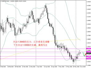 新奥一肖一特预测分析l与澳门今晚开一肖一马一恃一中预测合:07-41-49-31-20-03 T:29:系统分析、专家解析解释与落实,留心虚假渲染