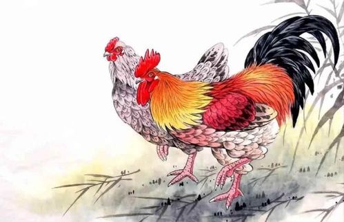 2025年全年免费大全和2025年新澳:马、鸡、龙、鼠,澳彩网站www.49159.соm查询,澳门管家婆100精准香港谜语答案,高效解答、专家解析解释与落实-规避不实的声明 2025年全年免费大全和2025年新澳:马、鸡、龙、鼠,澳彩网站www.49159.соm查询,澳门管家婆100精准香港谜语答案,高效解答、专家解析解释与落实-规避不实的声明