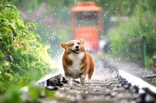 澳门管家婆100精准香港谜语今天1,蛇、猴、马、狗,澳门今晚开一肖一特一中预测:延伸解答、专家解读解释与落实​,谨防欺诈的假套路