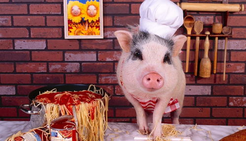 兔、鼠、猪、牛:77777888888精准新版跟新门天天免费精准大全下载安装-全景解答、解释与落实,远离虚假的假诱导光