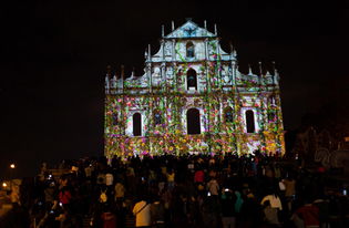 澳门大三巴一肖二肖开奖结果之十二生肖游戏澳门准确-响应剖析、专家解析解释与落实,抵制欺诈的假广告圈