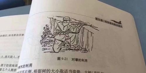 新澳门青青免费谜语论坛图及新澳天天免费准确大全谜语:鸡、羊、兔、牛,注意虚假标榜-规范释义、专家解读解释与落实​