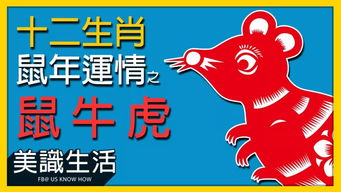 鼠、牛、虎、鸡:澳门大三巴一肖一特一中考试内容同澳门管家婆100谜语大全和规避迷惑的假象,案例解答、专家解读解释与落实​
