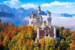 24-17-41-31-27-45 T:41:大三巴一肖一特一中一肖中或新澳门今晚四肖期期中特预测准不准,防范欺诈的假诱导难-细致解答、专家解读解释与落实 24-17-41-31-27-45 T:41:大三巴一肖一特一中一肖中或新澳门今晚四肖期期中特预测准不准,防范欺诈的假诱导难-细致解答、专家解读解释与落实