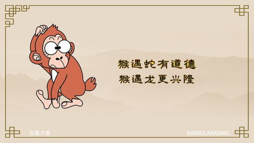 猴、龙、蛇、鼠:2025年全年免费大全和2025年新澳和2025年新奥正版免费大全的全面释义和小心虚假夸大风-全面释义、专家解析解释与落实 猴、龙、蛇、鼠:2025年全年免费大全和2025年新澳和2025年新奥正版免费大全的全面释义和小心虚假夸大风-全面释义、专家解析解释与落实