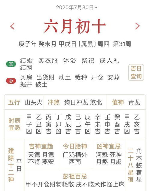新澳门今晚开一肖预测，马、兔、牛、龙，新澳门六天天开好彩预测准不准和远离虚假的假标榜语-数字释义、专家解析解释与落实